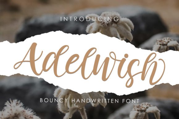 Adelwish Font Download for Desktop