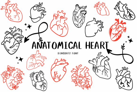 Anatomical Heart 1 Font Download for Desktop
