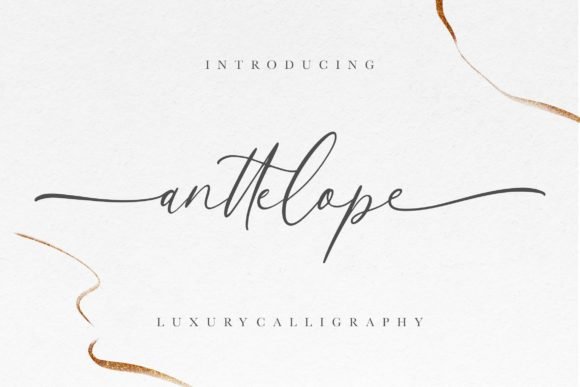 Anttelope Font Download for Desktop