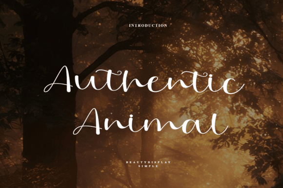 Authentic Animal Font Download for Desktop