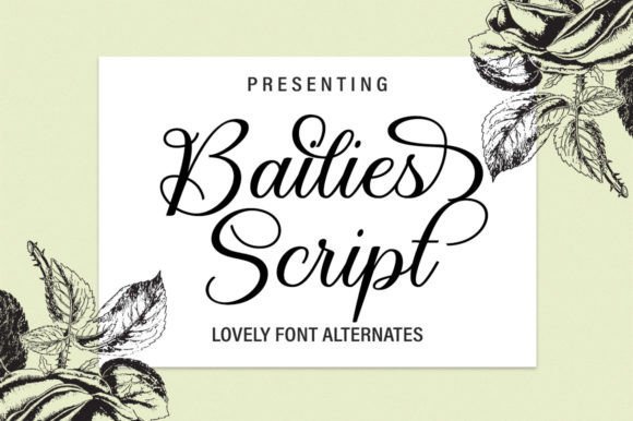Bailies Script Font - Featured Image
