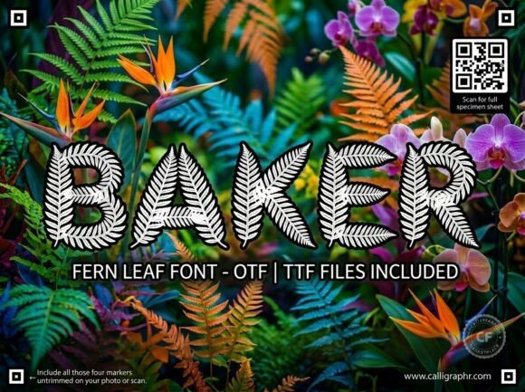Baker Font - Featured Image