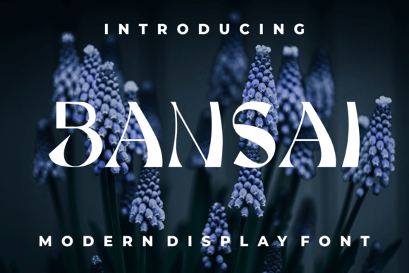 Bansai Font - Featured Image