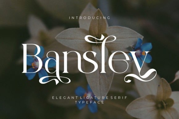 Bansley Font Download for Desktop
