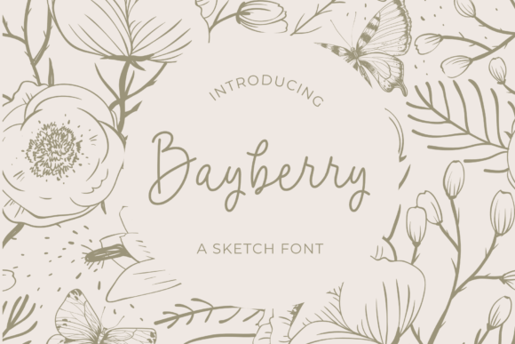 Bayberry Font Download for Desktop