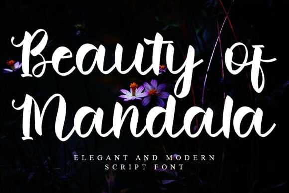 Beauty of Mandala Font Download for Desktop