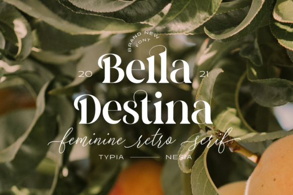 Bella Destina Font Download for Desktop