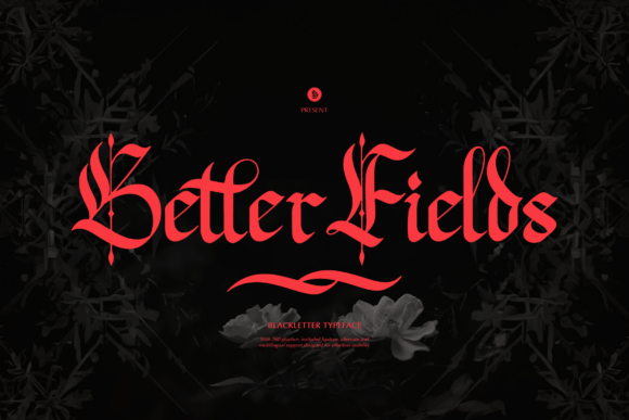 Better Fields Font Download for Desktop