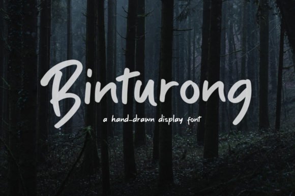 Binturong Font Download for Desktop