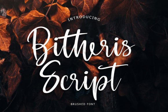 Bitheris Font Download for Desktop