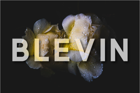 Blevin Font Download for Desktop