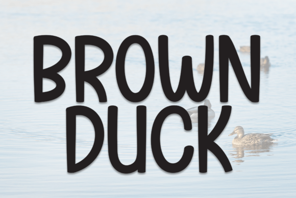 Brown Duck Font Download for Desktop