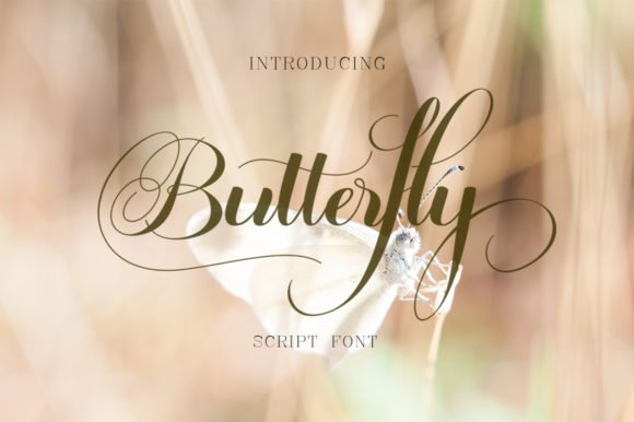 Butterfly  Font Download for Desktop