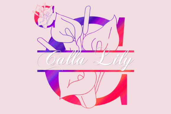 Calla Lily Split Font Download for Desktop