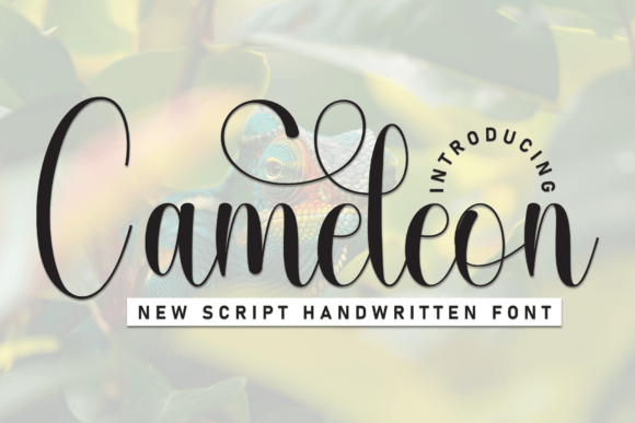 Cameleon Font - Featured Image