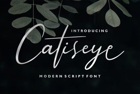 Catiseye Font - Featured Image