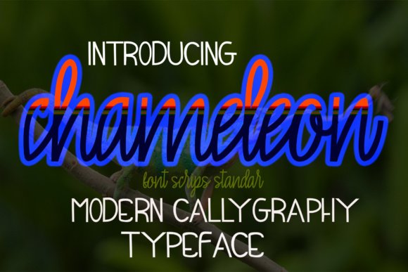 Chameleon Font Download for Desktop