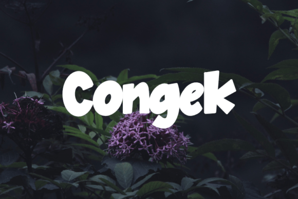 Congek Font Download for Desktop