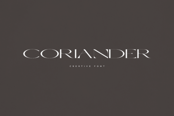 Coriander Font - Featured Image