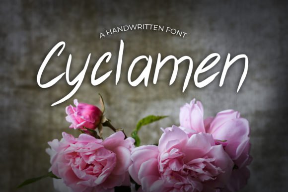 Cyclamen Font - Featured Image