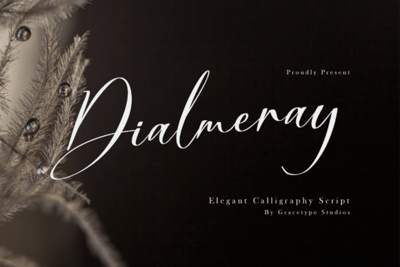 Dialmeray Font Download for Desktop