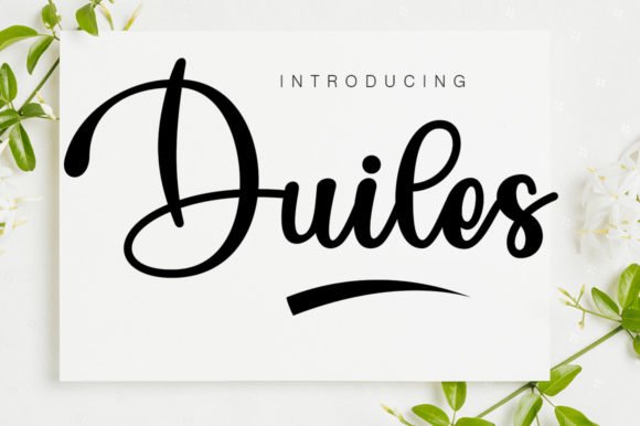 Duiles Font Download for Desktop