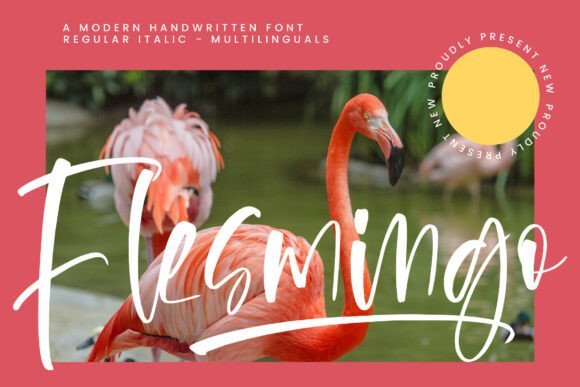 Flesmingo Font Download for Desktop