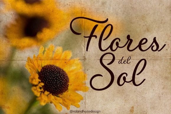 Flores Del Sol Font - Featured Image