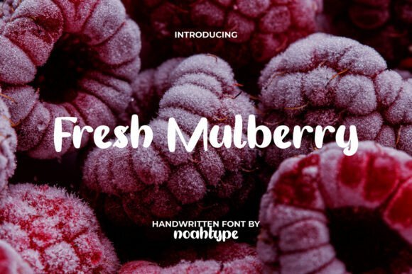 Fresh Mulberry Font - Featured Image