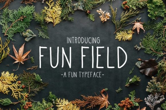 Fun Field Font - Featured Image