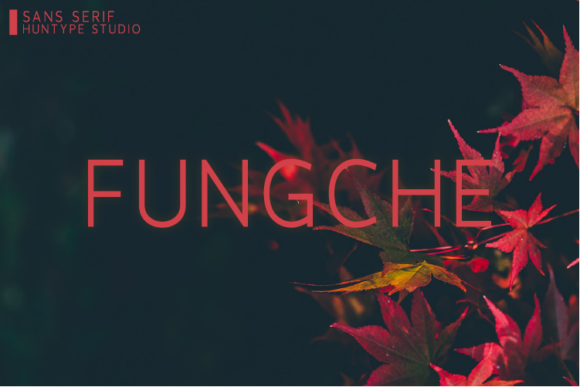Fungche Font - Featured Image