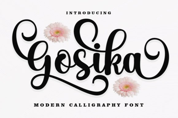 Gasika Font Download for Desktop