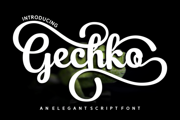 Gechko Font Download for Desktop