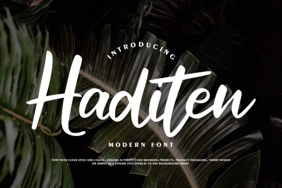 Haditen Script Font - Featured Image