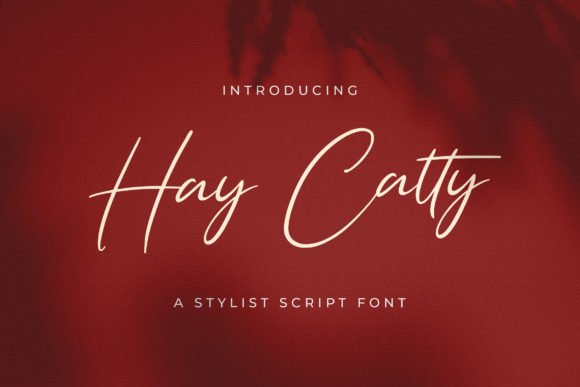 Hay Catty Font - Featured Image