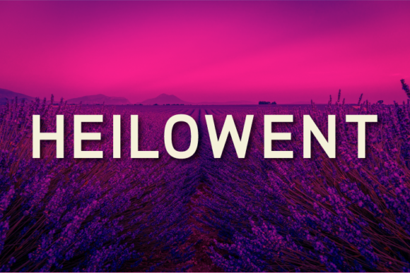 Heilowent Font - Featured Image