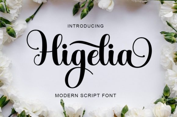 Higelia Font - Featured Image