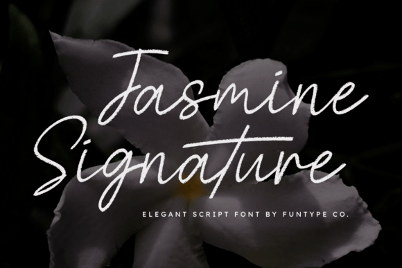 Jasmine Signature Font - Featured Image