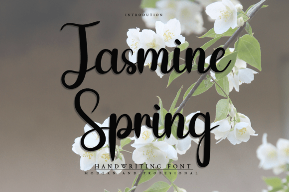 Jasmine Spring Font - Featured Image