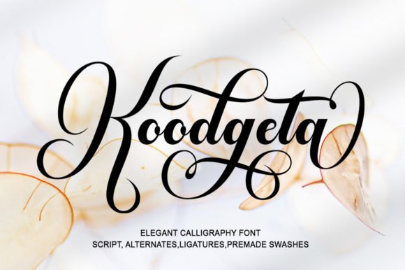Koodgeta Font Download for Desktop