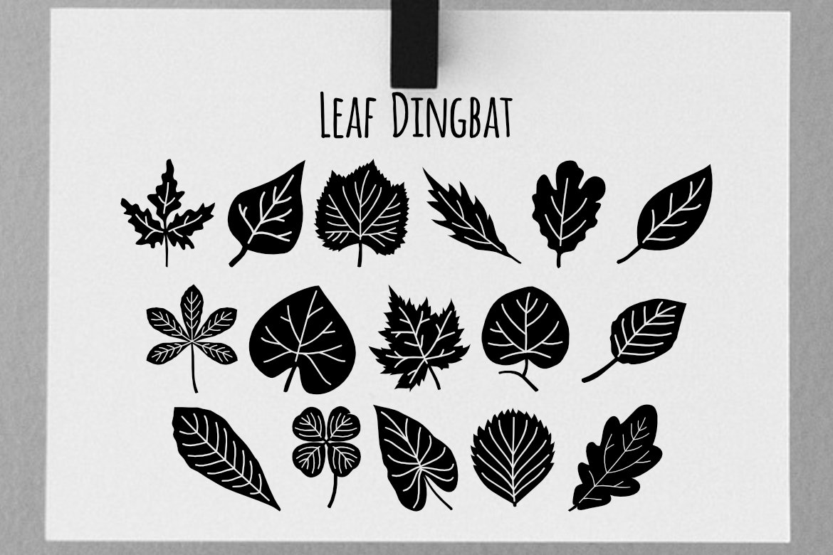 Leaf Dingbat Font Download for Desktop