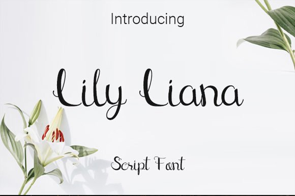 Lily Liana Font - Featured Image