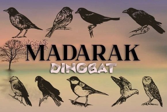 Madarak Font - Featured Image