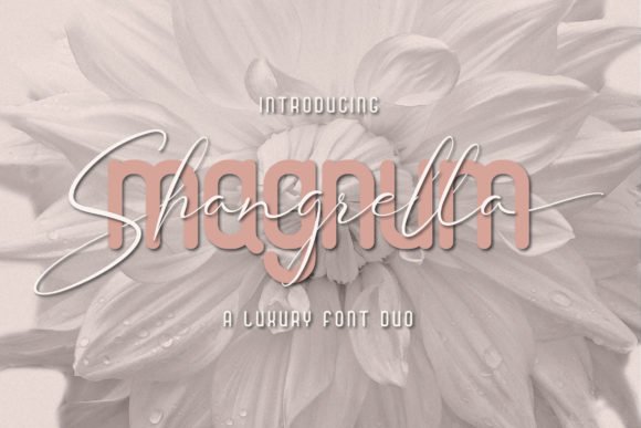 Magnum Shangrella Duo Font - Featured Image