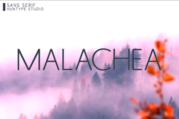 Malachea Font Download for Desktop