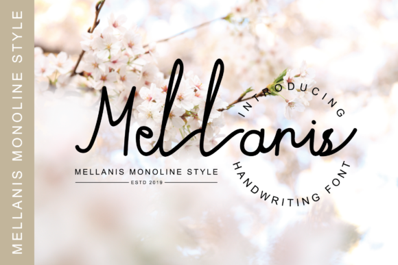Mellanis Font - Featured Image