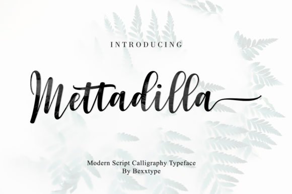 Mettadilla Script Font Download for Desktop