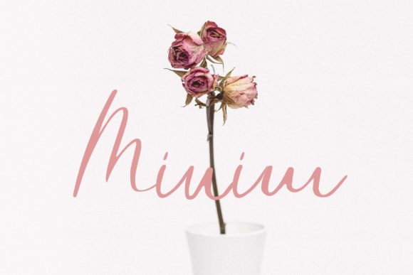 Minim Font Download for Desktop