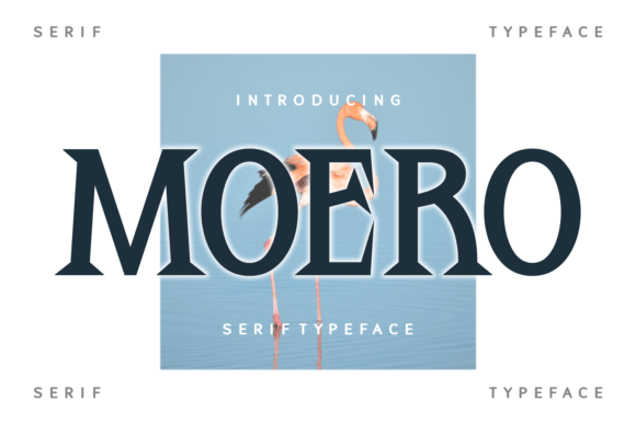 Moero Font Download for Desktop