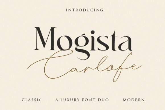 Mogista Carlofe Font - Featured Image